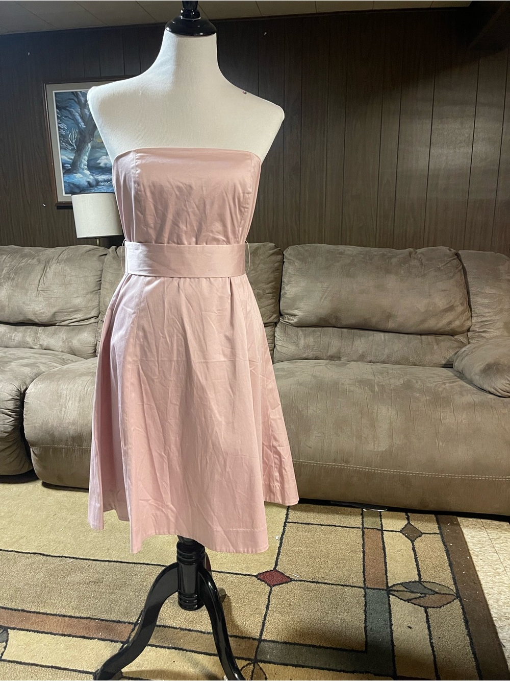 GAP Strapless Light Pink A-Line Dress with Waistband